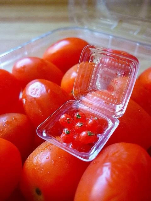 Все наши каналы