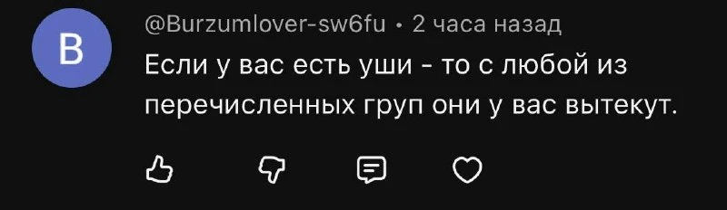 Это написал человек с ником «бурзум ловер»