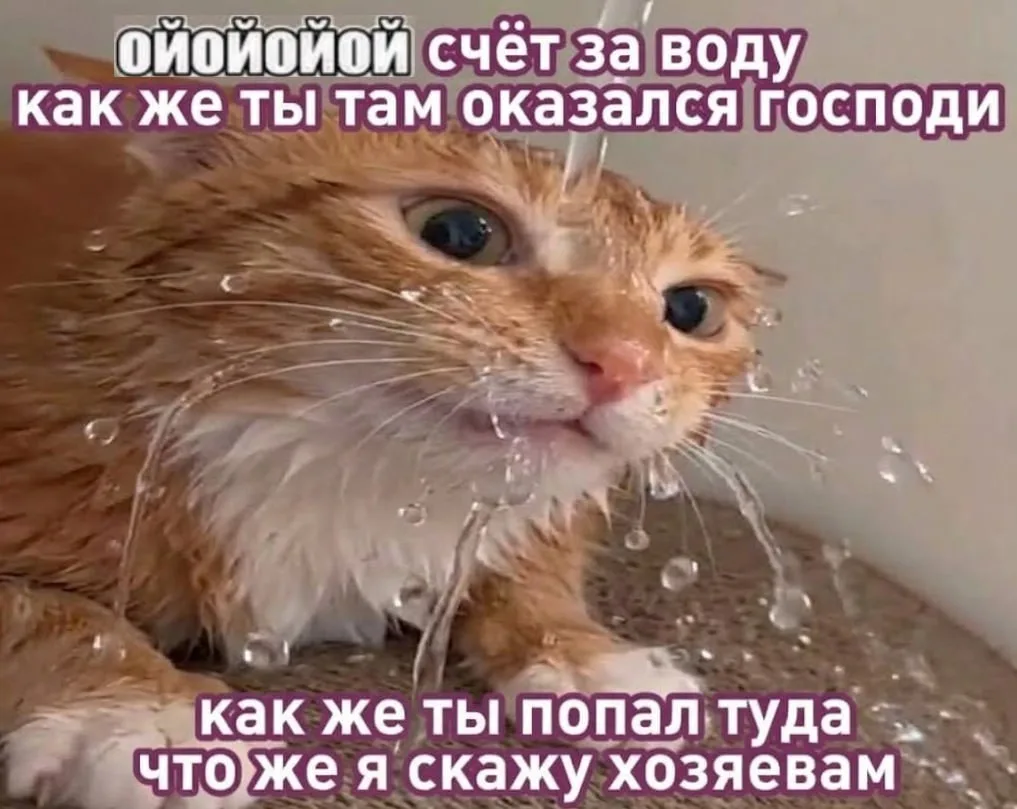 Счета за воду для домашних животных пришли жителям Набережных Челнов.