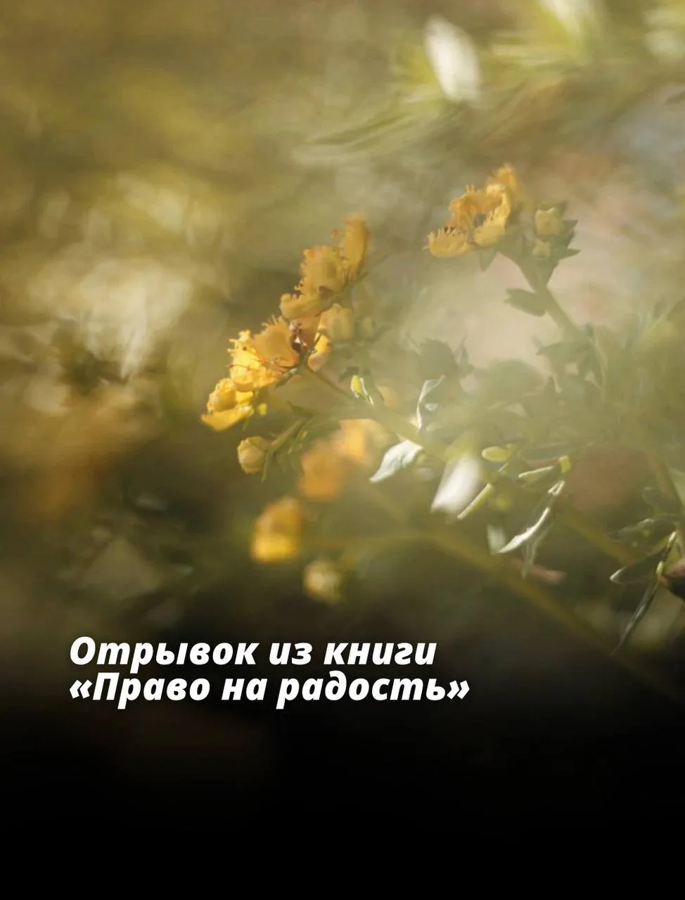 Люди так скоро и так легко разочаровываются… В своем выборе, в друзьях, супругах, работе, идеалах и 