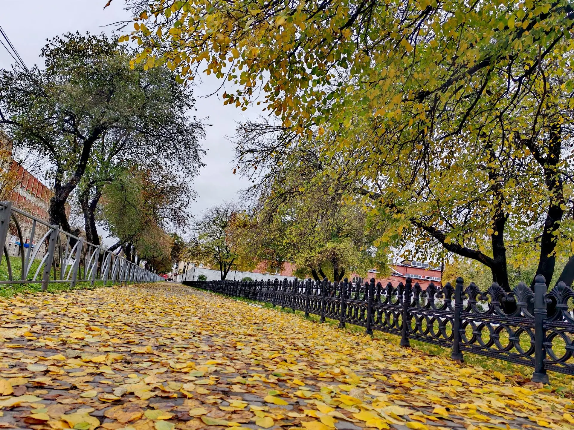 Как оцените такое фото?