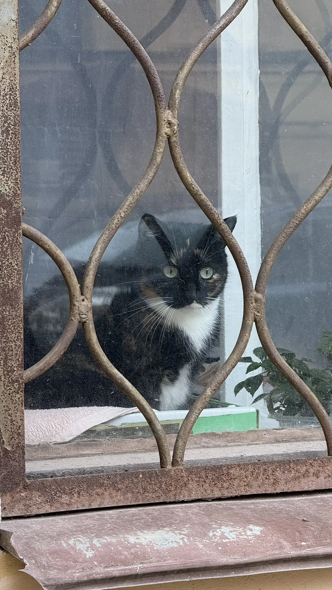⚠️ Сегодня наступит полнолуние, которое может разрушить жизнь - говорят новости астроло...