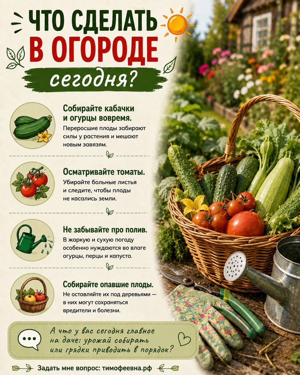 🌱 Что сделать в огороде сегодня?