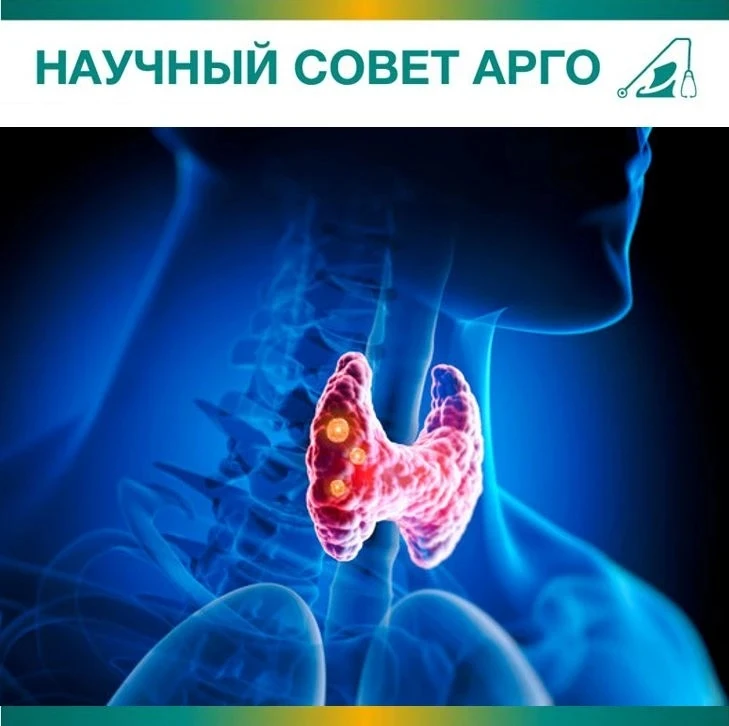 Щитовидная железа в норме — жизнь в гармонии: поддержка при тиреотоксикозе от Компании АРГО

Чувству