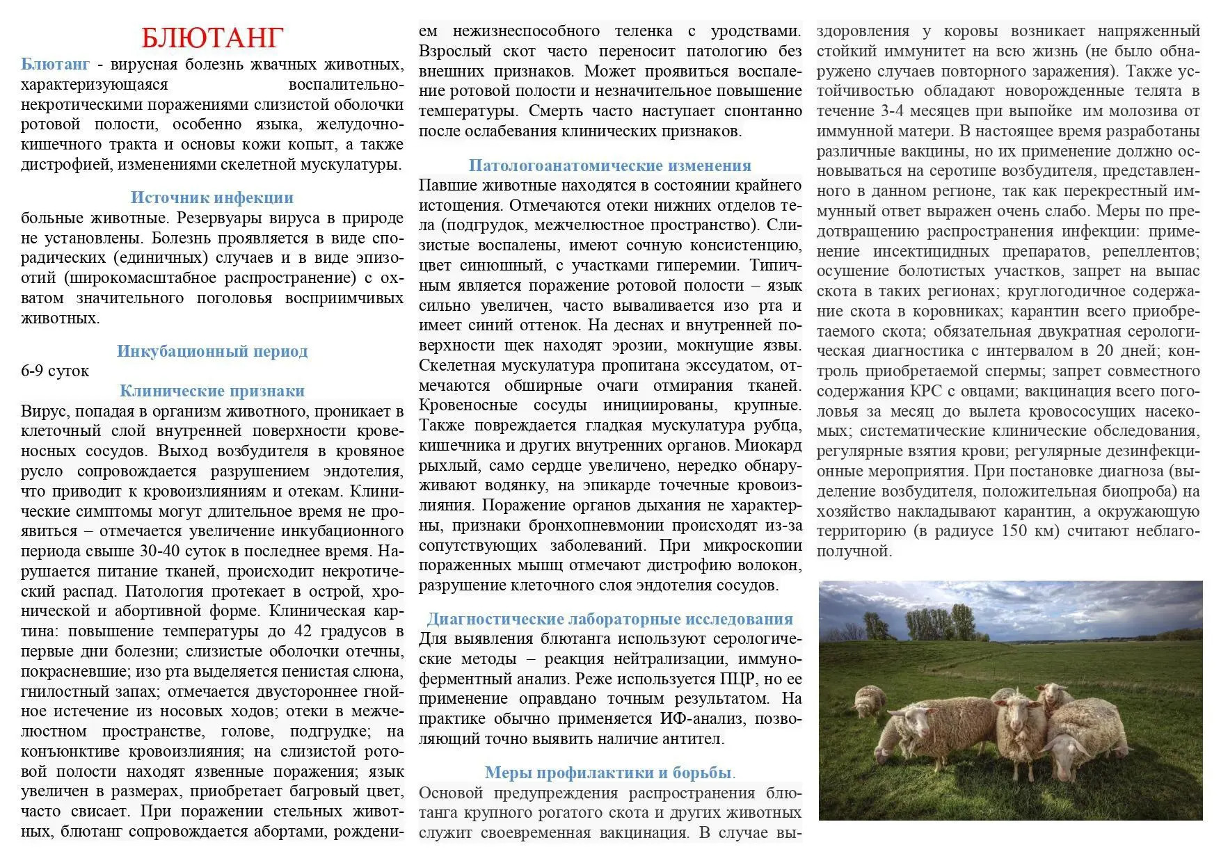 Памятка для населения