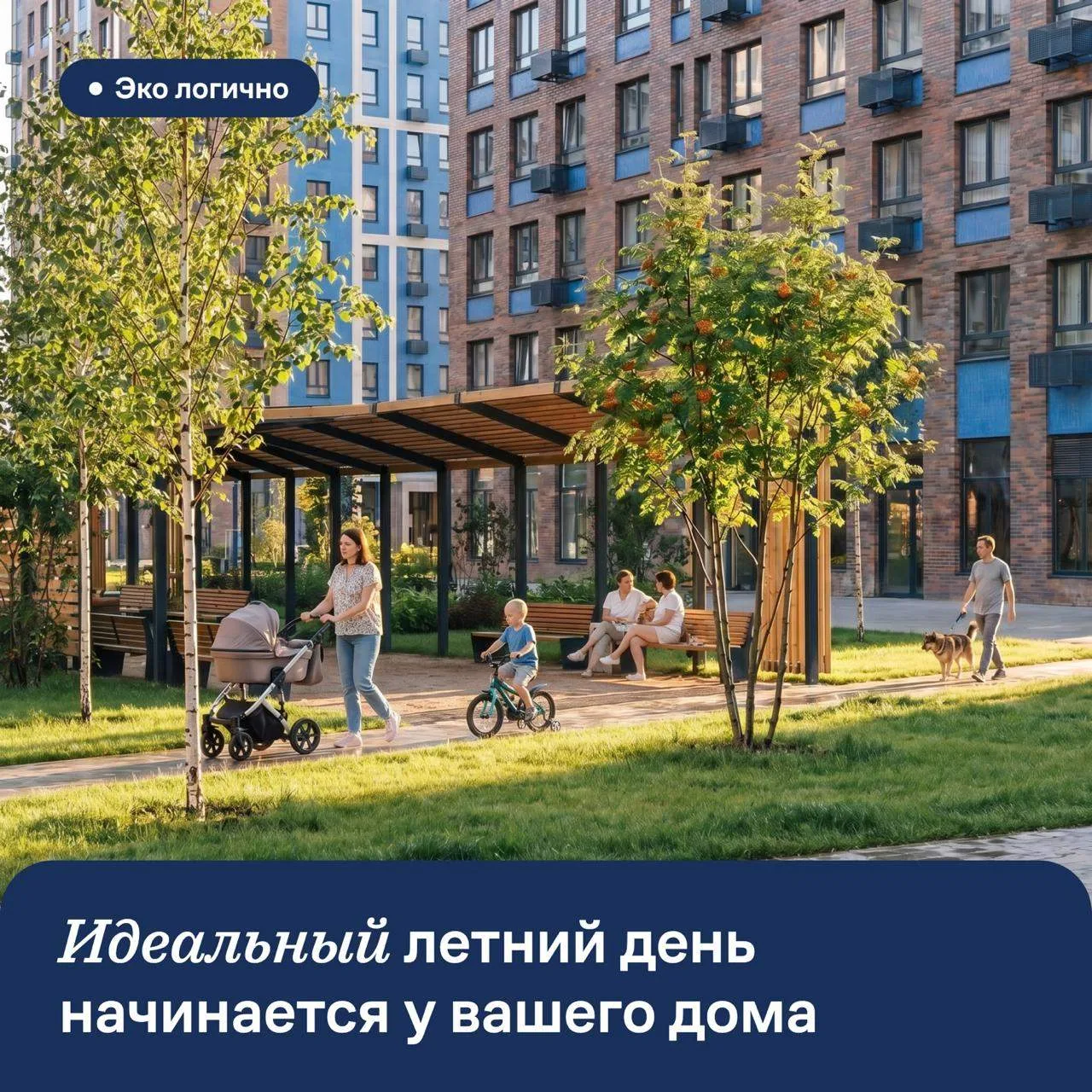 Жители уютных квартир 🏠