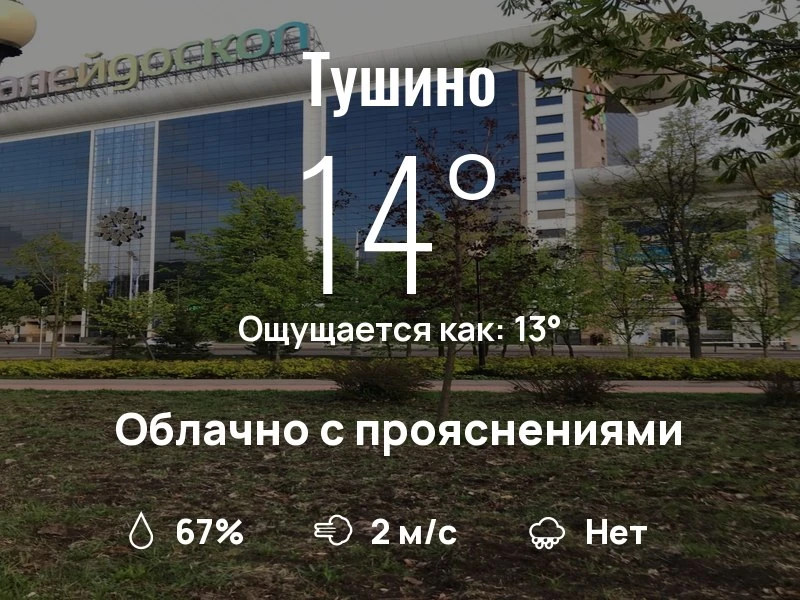 Что с погодой в Тушино?