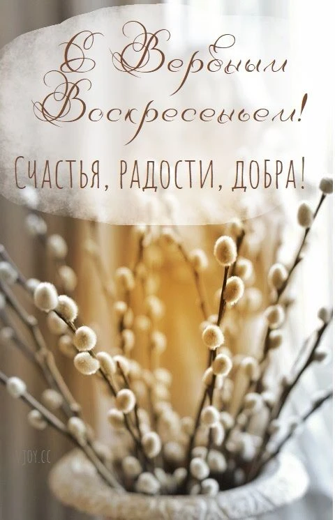 Пусть пушистые веточки принесут в дом уют, здоровье и радость, а сердце наполнится свет...