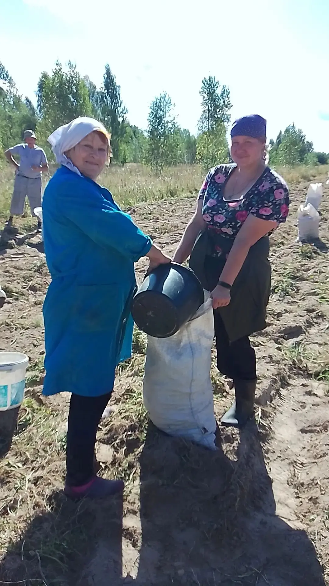 🥔🍅"ВРЕМЯ СОБИРАТЬ УРОЖАЙ: ЗАБОТА В КАЖДОМ ДЕЛЕ"