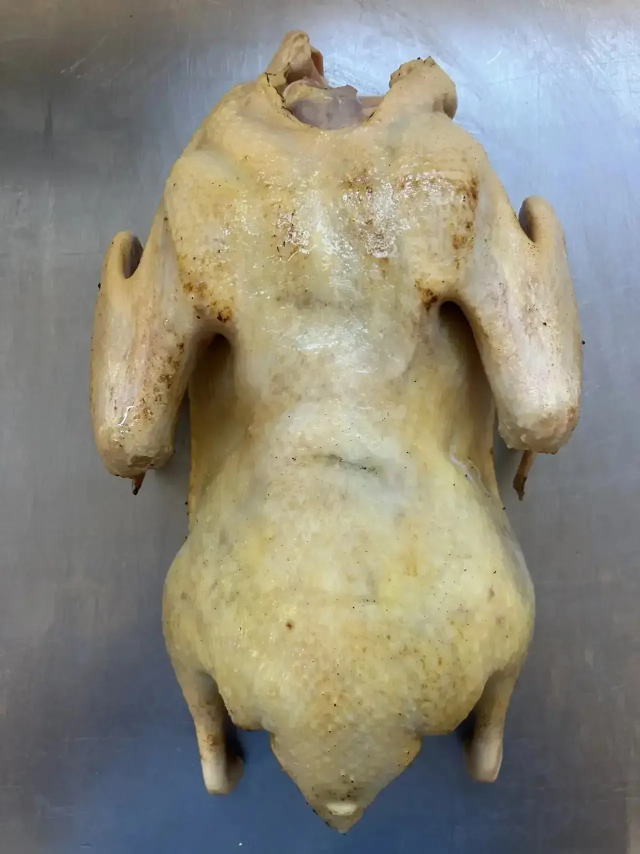🦆🔥🦆🔥🦆🔥🦆🔥🦆🔥