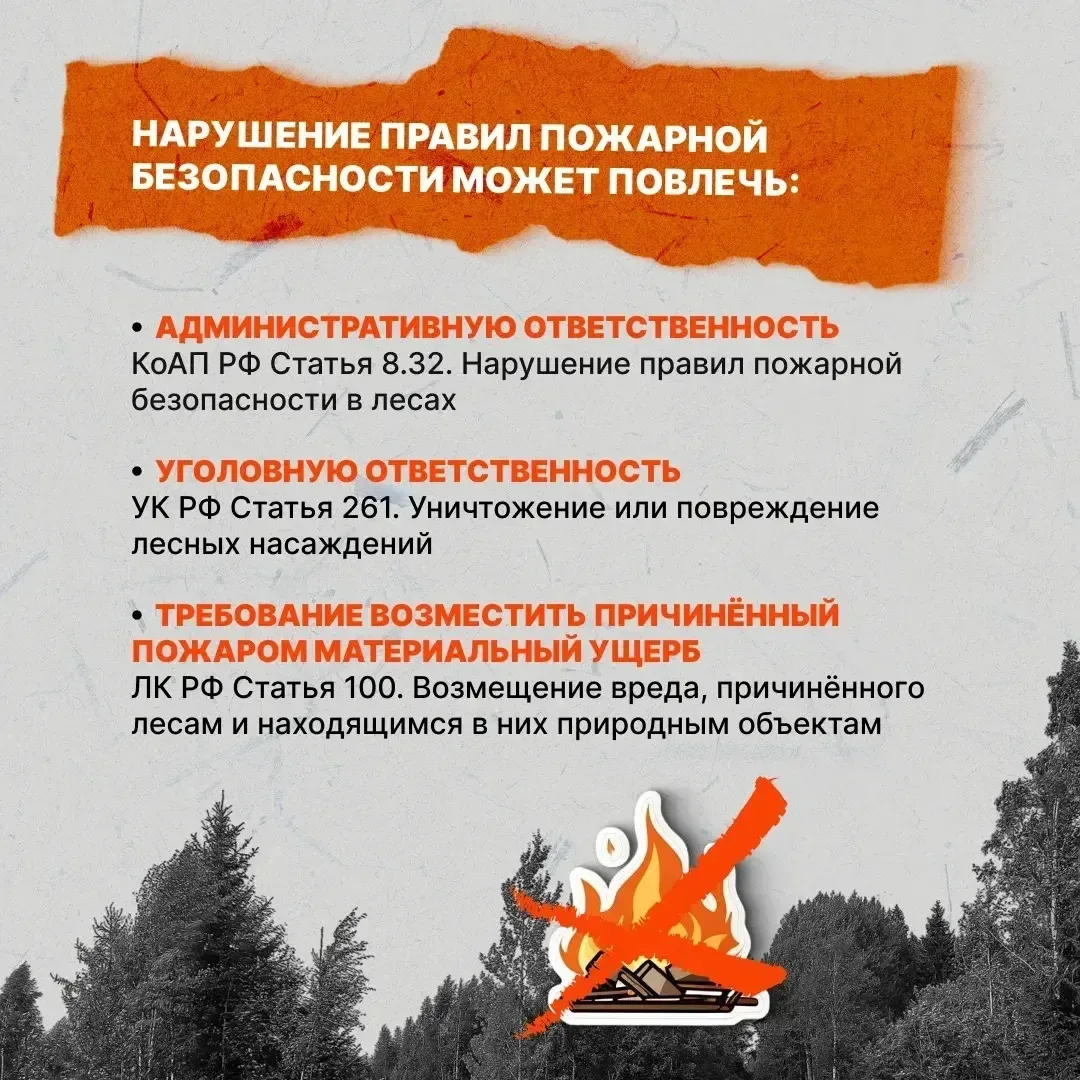 🔥 Одна непотушенная сигарета, костёр или пал сухой травы способны уничтожить гектары л...