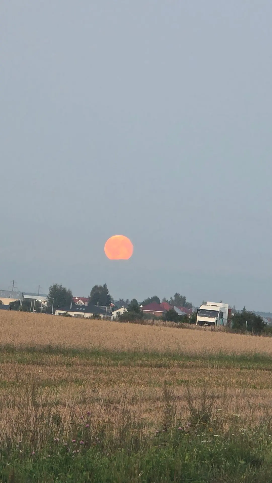 ⚡️🔴 ОГРОМНЫЙ РОЗОВЫЙ ГИГАНТ НАД ДОМАМИ! 🌕 КРОВАВАЯ ЛУНА