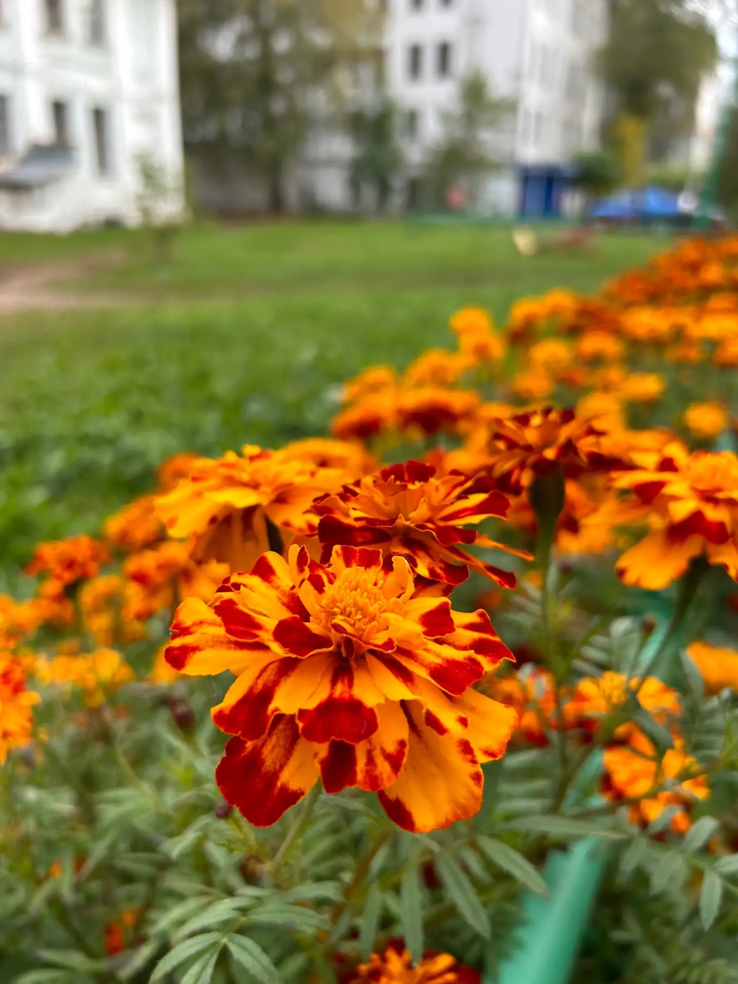 Доброе сентябрьское утро 🌸🍂