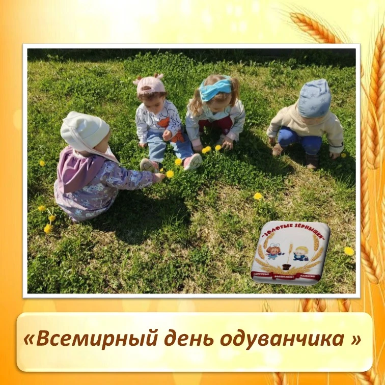 В ясельной группе " Гномики"  прошла беседа, посвящённая " Всемирному дню одуванчика "