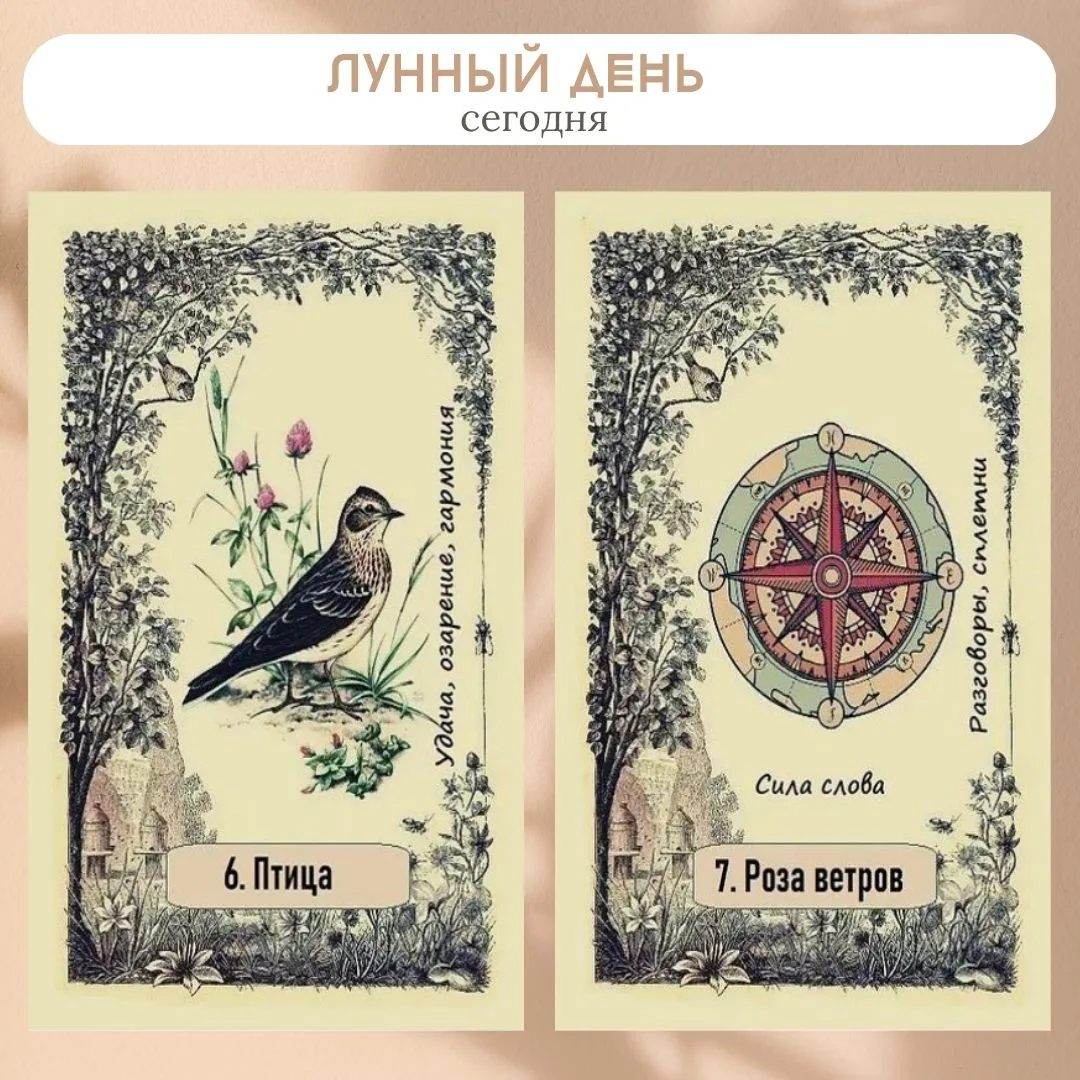 Сегодня 21 июня 2026, 6-7 лунный день.

🌙 Растущая луна. Лита! Луна в знаке Дева, а затем Весы. Под