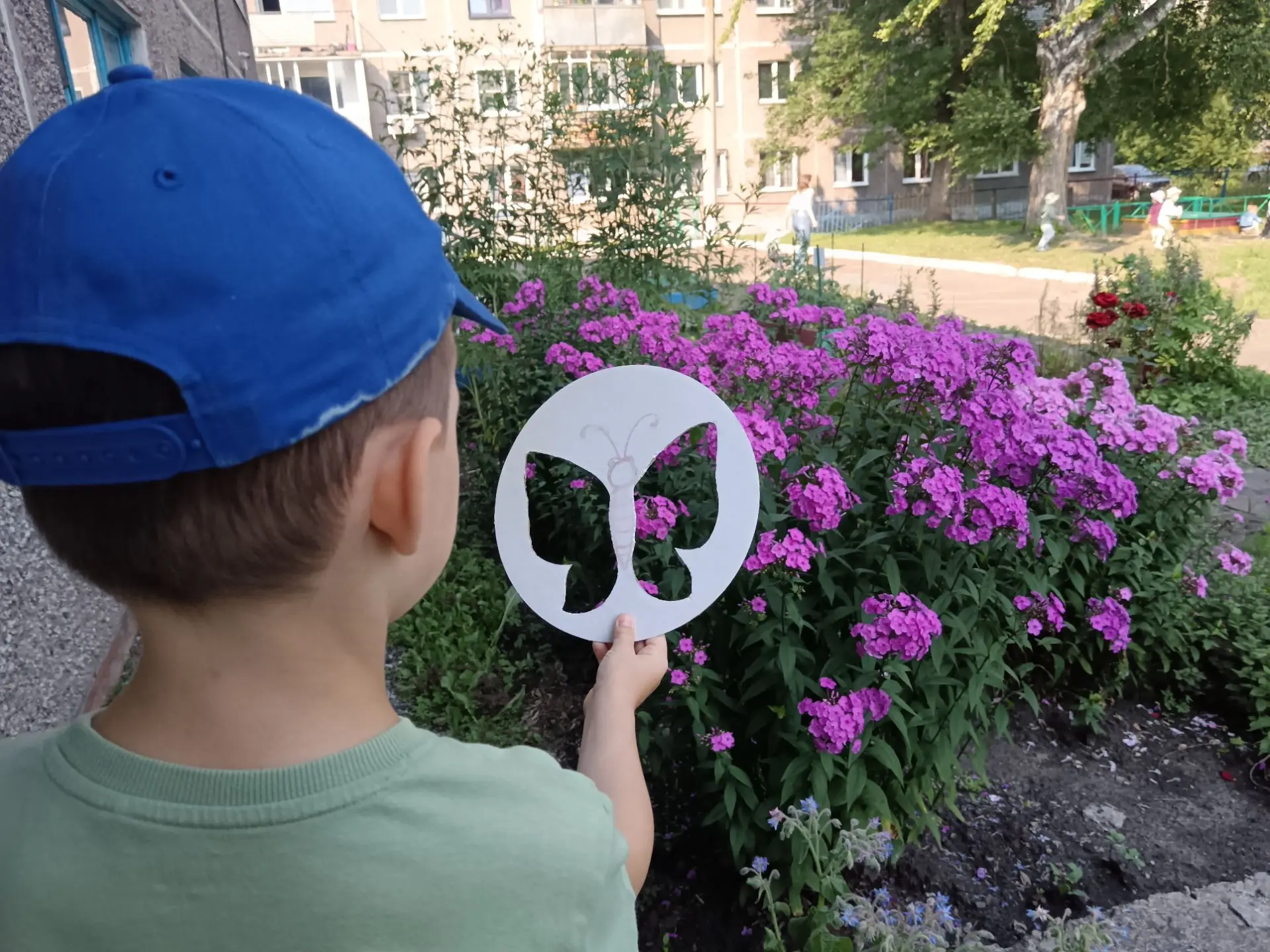 Летняя бабочка. 🦋

Дети творят волшебство: простой лист картона становится яркой бабочкой с летним 