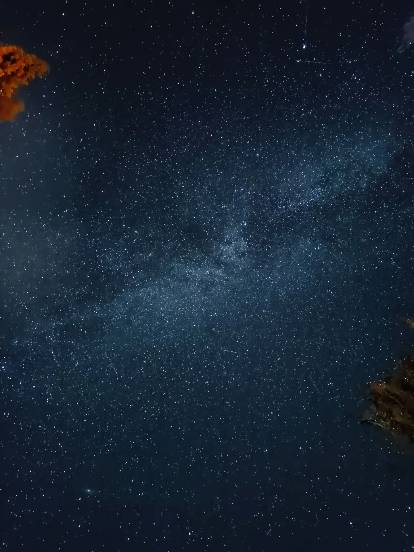 Фото сделано на телефон ночью в лагере 🏕️