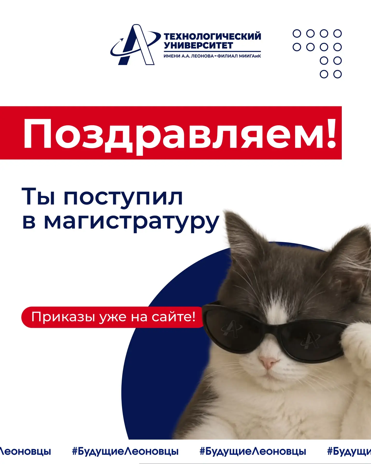 🧑‍🎓Вы поступили в магистратуру!