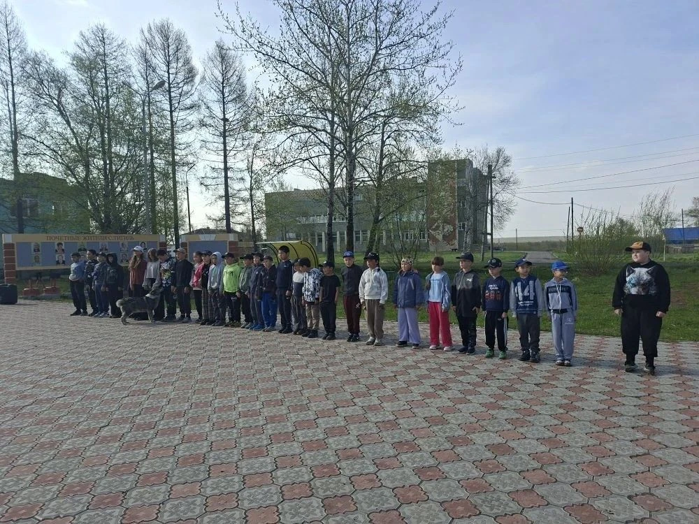 Весёлая зарядка бодрит по утрам🤸🏃🏋