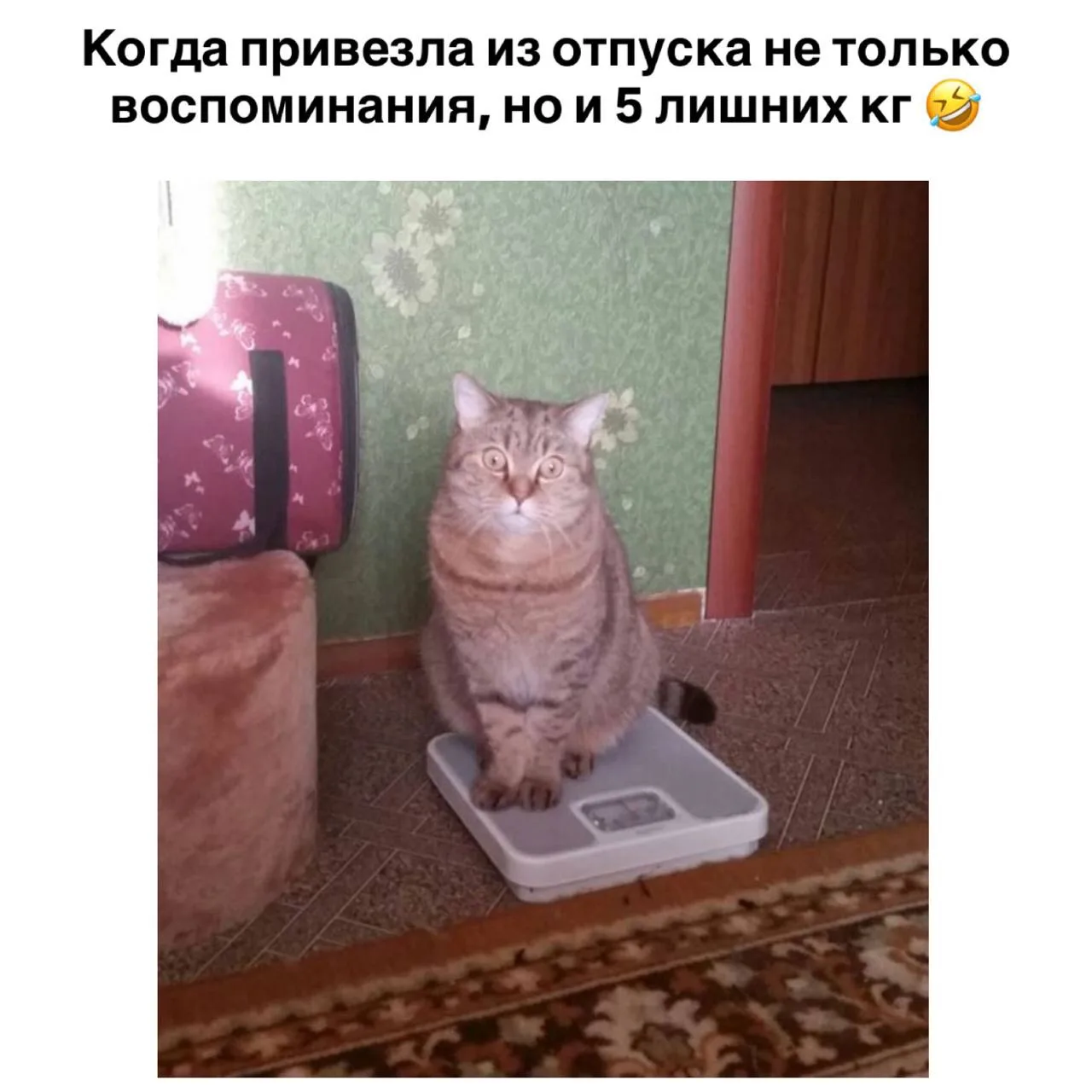 Мем смешной, ситуация страшная реальная 😁