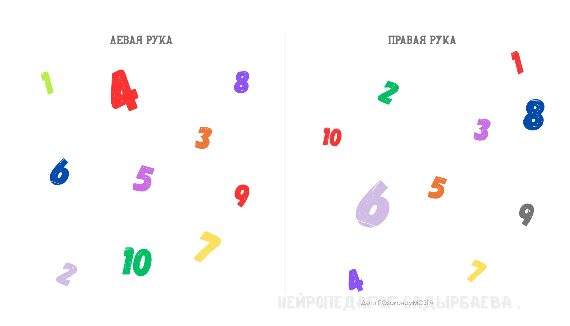 НЕЙРОУПРАЖНЕНИЕ «ДВЕ РУКИ — ДВА ПОЛЯ»