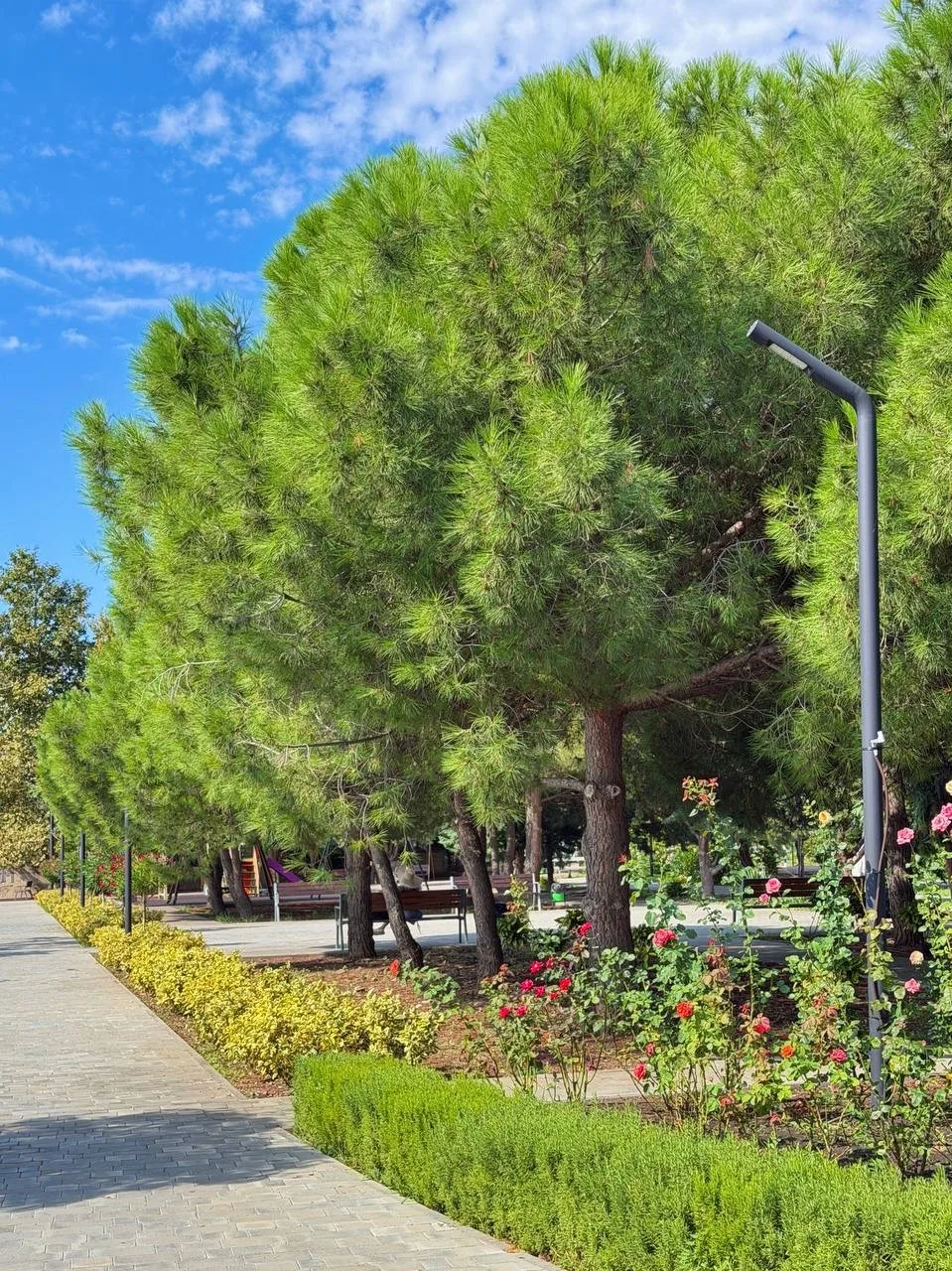 Парк у моря в Солнечногорском🌳🌴🌸