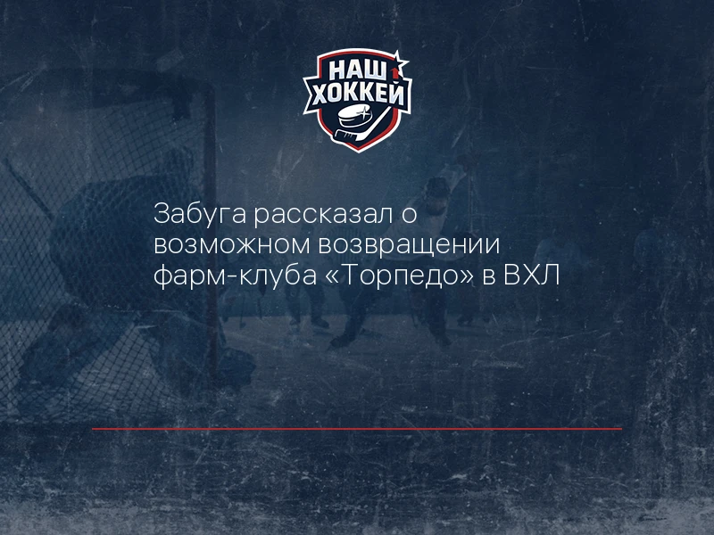 Забуга рассказал о возможном возвращении фарм-клуба "Торпедо" в ВХЛ