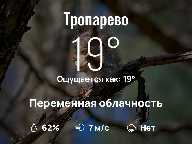 Что с погодой в Тропарево?