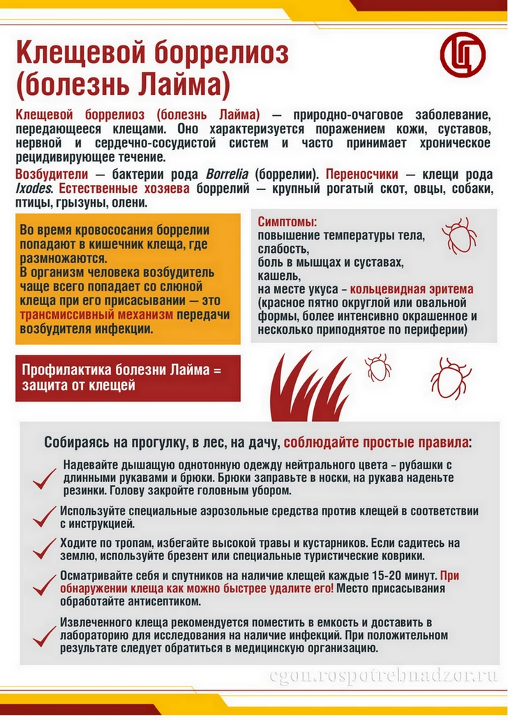 #Цифра_дня 

В Волгоградской области с начала сезона от укусов клещей пострадали уже 675 человек, вк