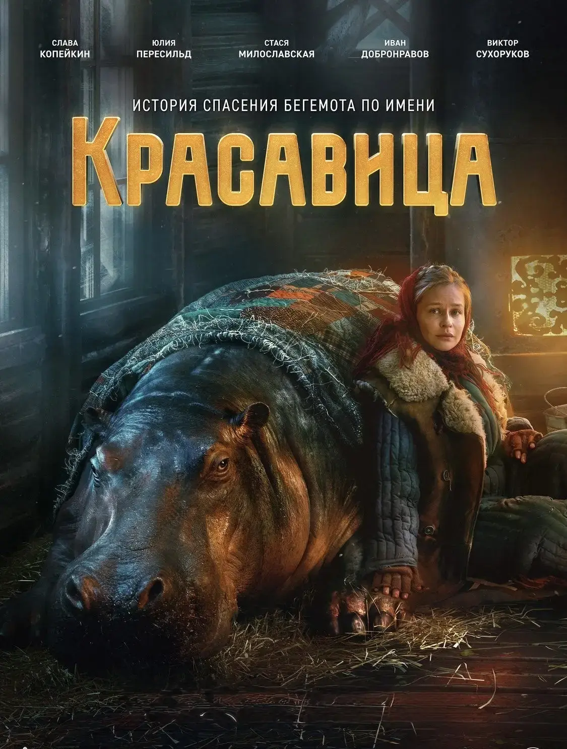 Сегодня ребята из 4Д класса посмотрели фильм "Красавица" о бегемоте и зверях во время блокадного Лен