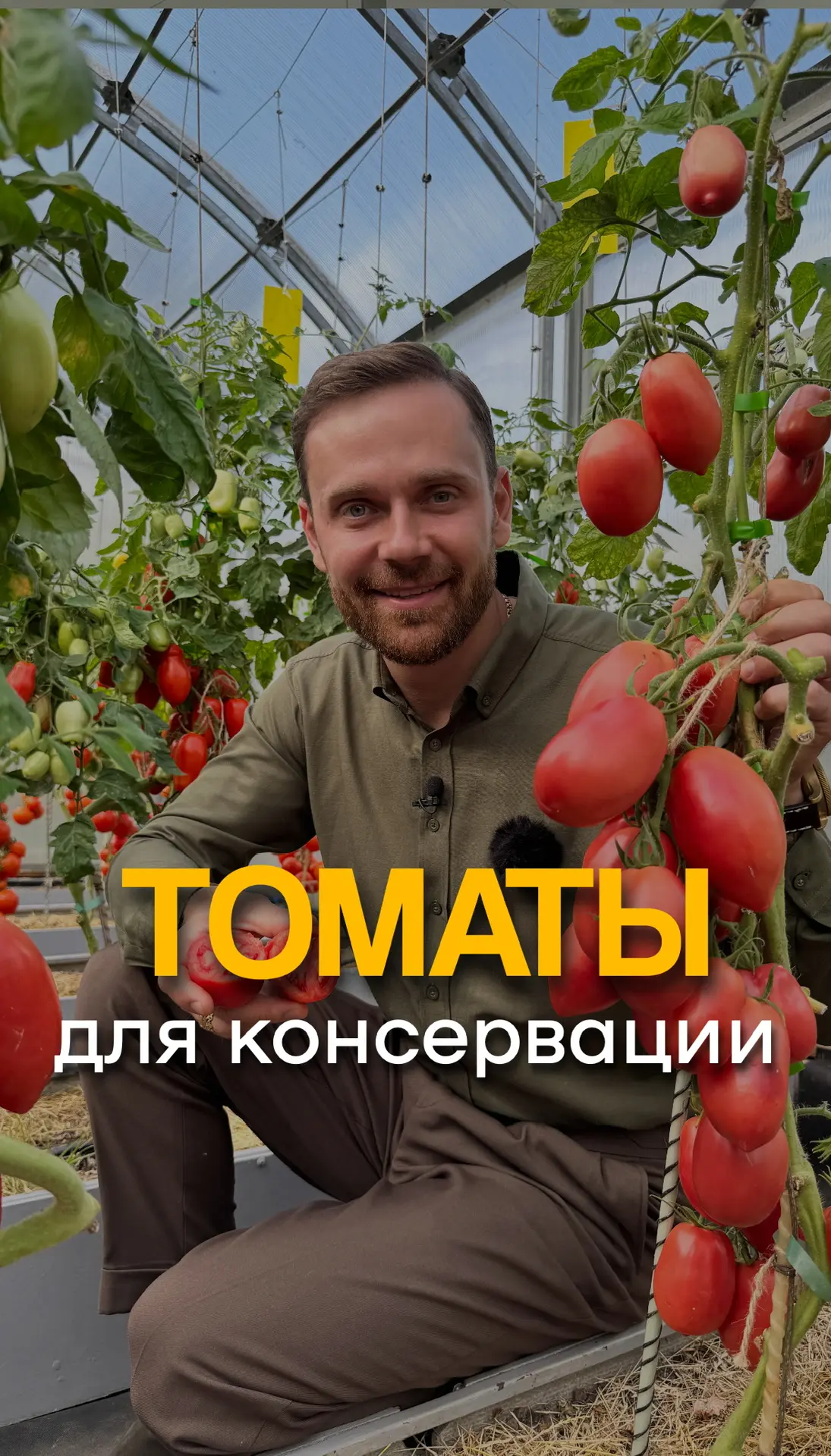 🍅 ТОМАТЫ ДЛЯ КОНСЕРВАЦИИ: ПЛОТНЫЕ И УРОЖАЙНЫЕ СОРТА Если вы делаете заготовки, то точно знаете — не 