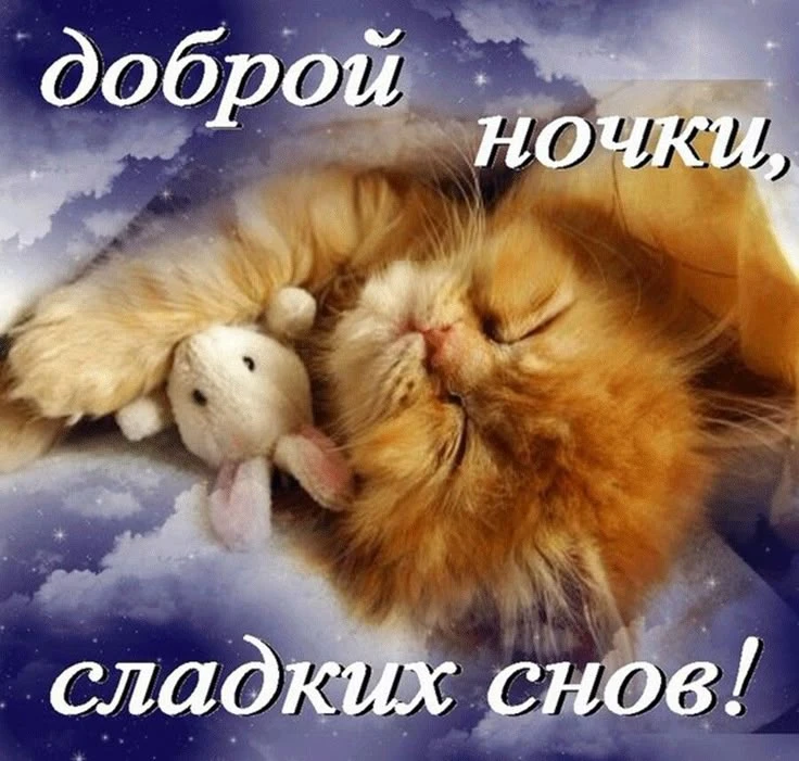 Открытки дня❤️