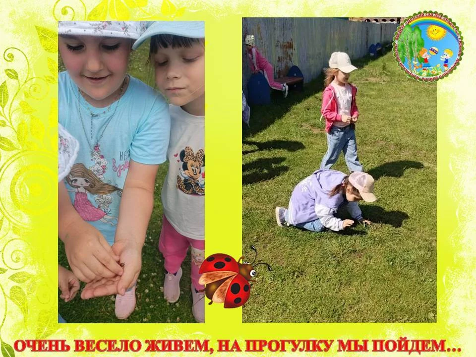 ЛЕТНИЕ ПРОГУЛКИ

Очень весело живем,
На прогулку мы идем...

Летние прогулки — это отличный способ п