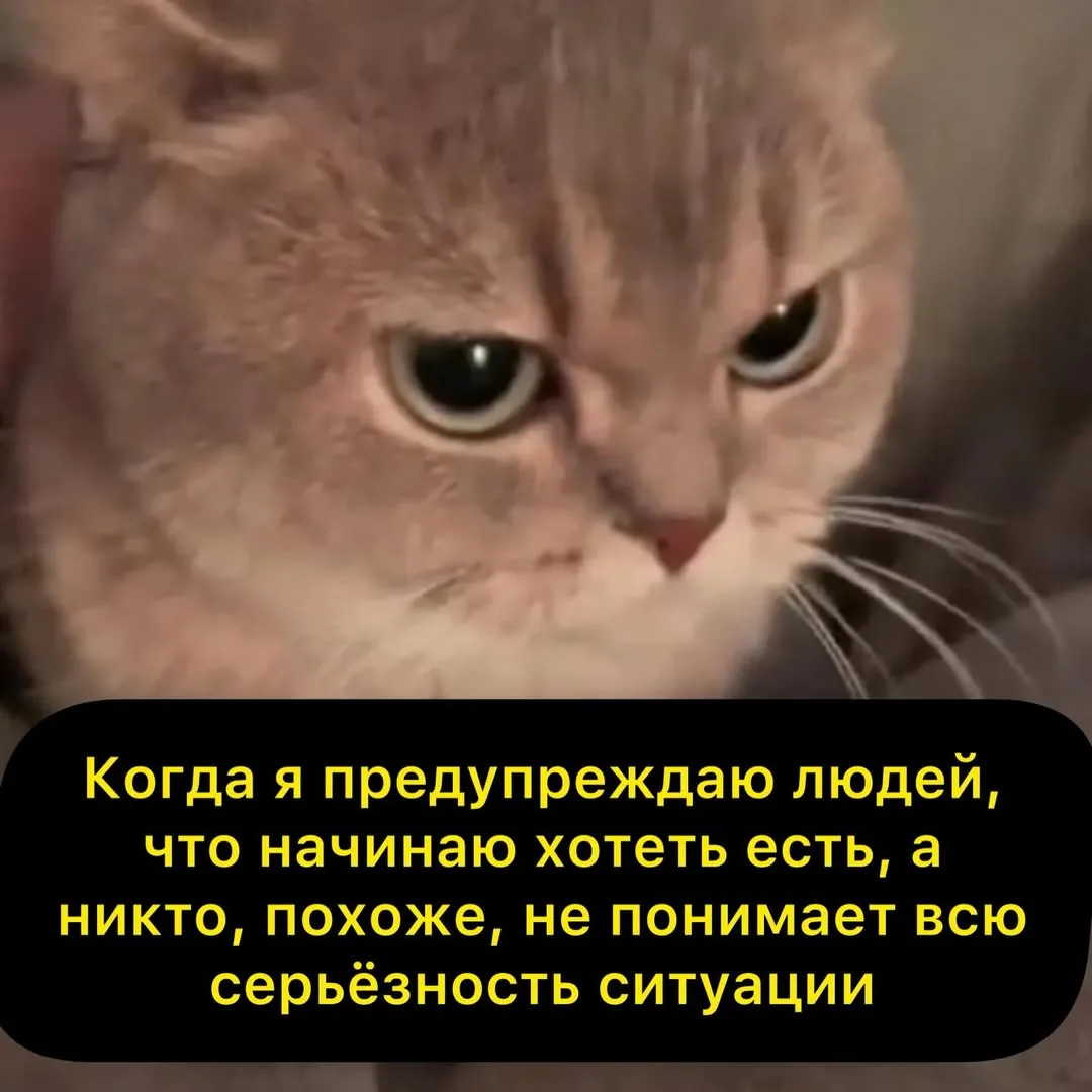 По Щучьему Велению