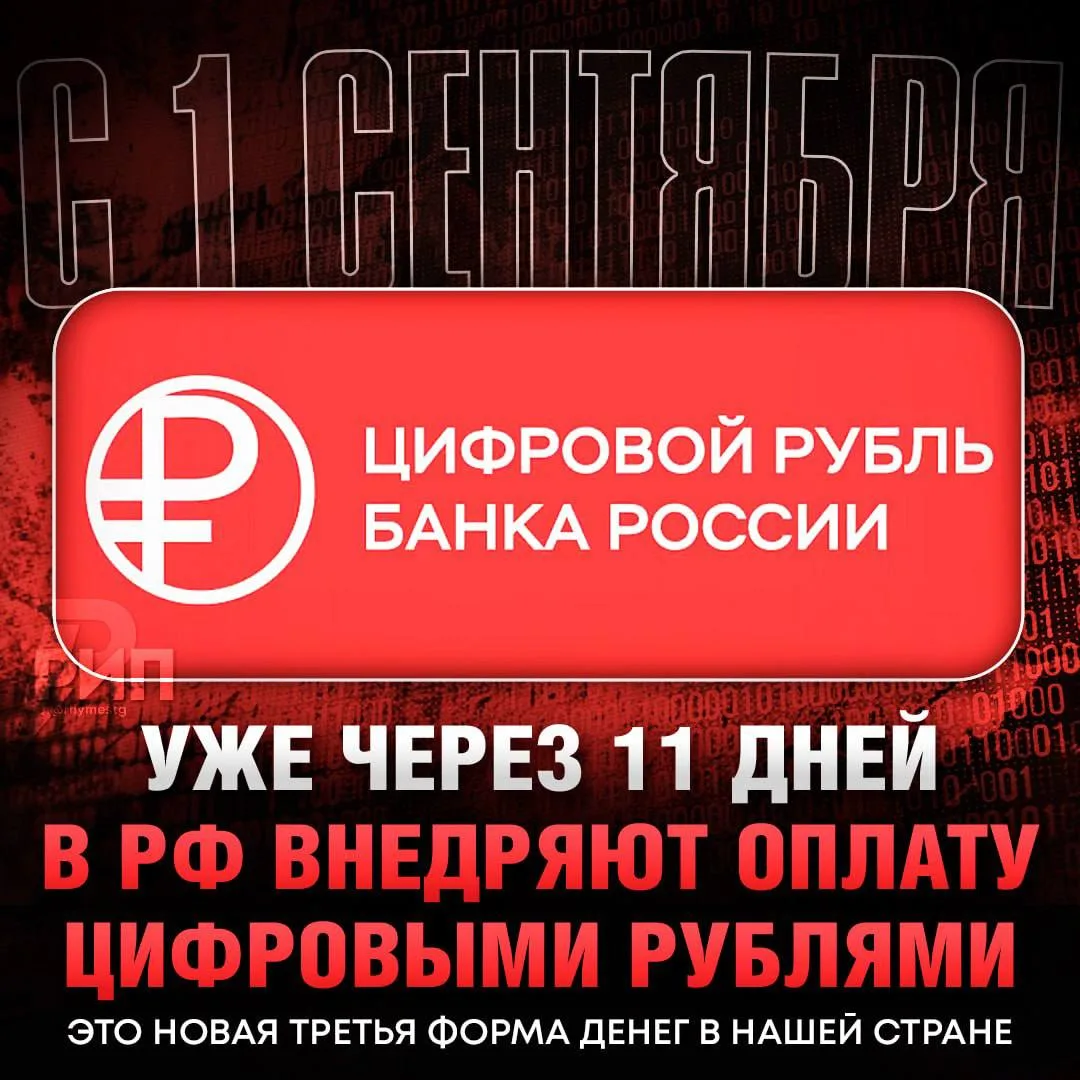 ⚡️ С 1 сентября в России официально запустят оплату ЦИФРОВЫМИ РУБЛЯМИ — но уже сейчас е...