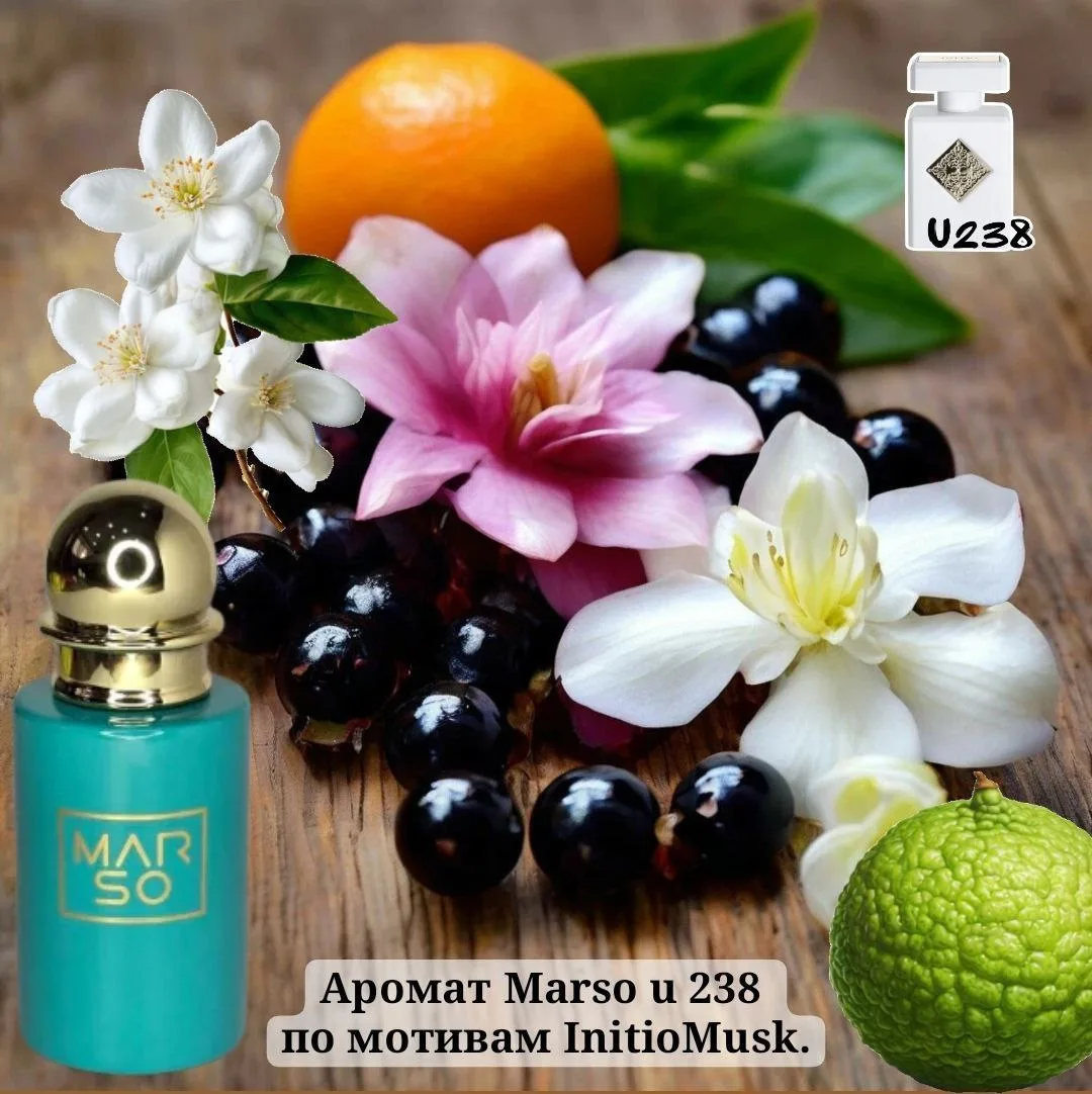 U238 — для поклонников Initio Musk Therape ✨