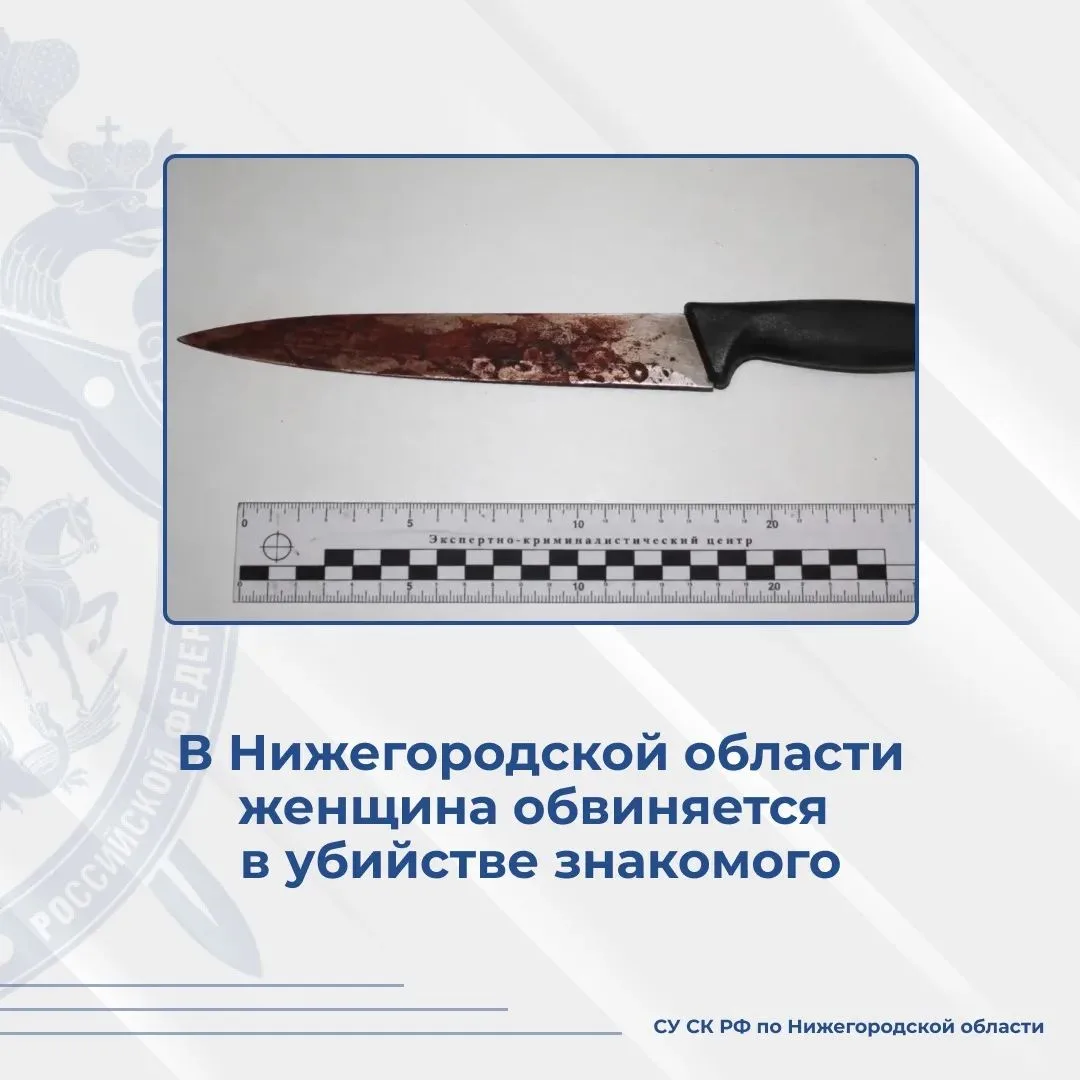 В городе Сарове женщина обвиняется в убийстве знакомого