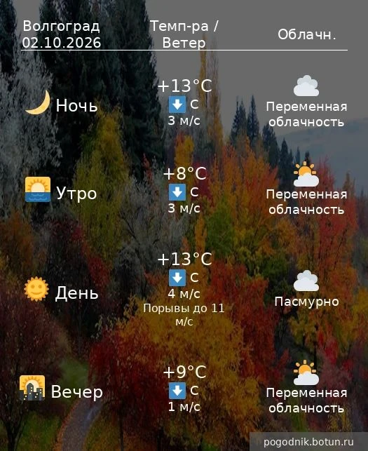 #погода