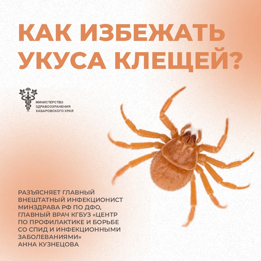 С наступлением тёплых дней риск укуса клеща возрастает, а вместе с ним — и опасность заражения инфек