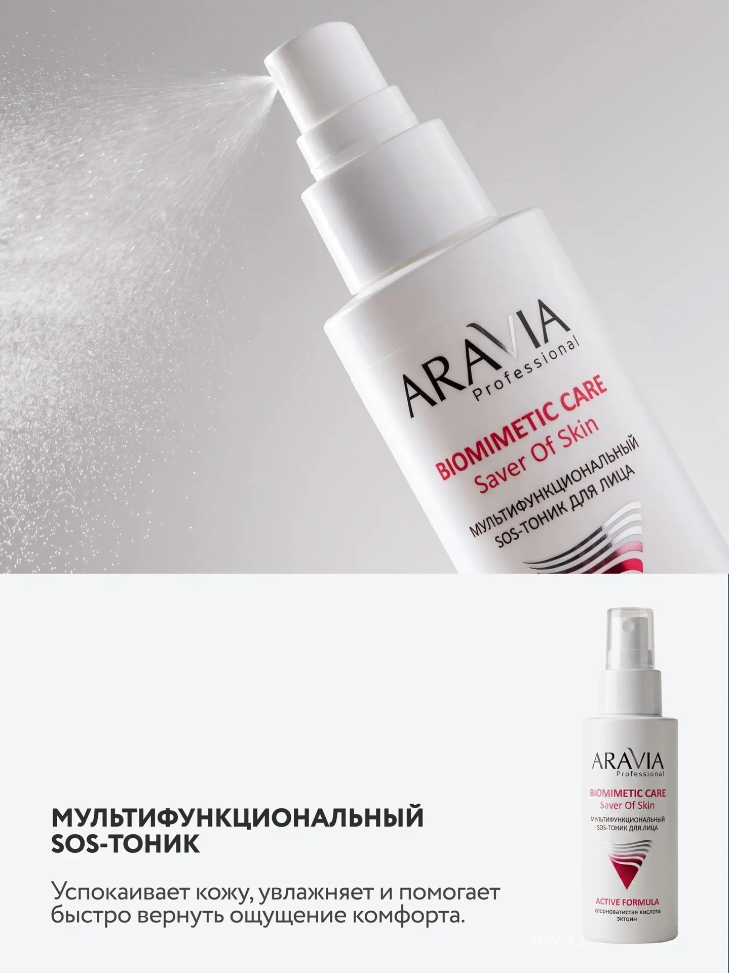 Изображение 3 к публикации «ARAVIA Professional»