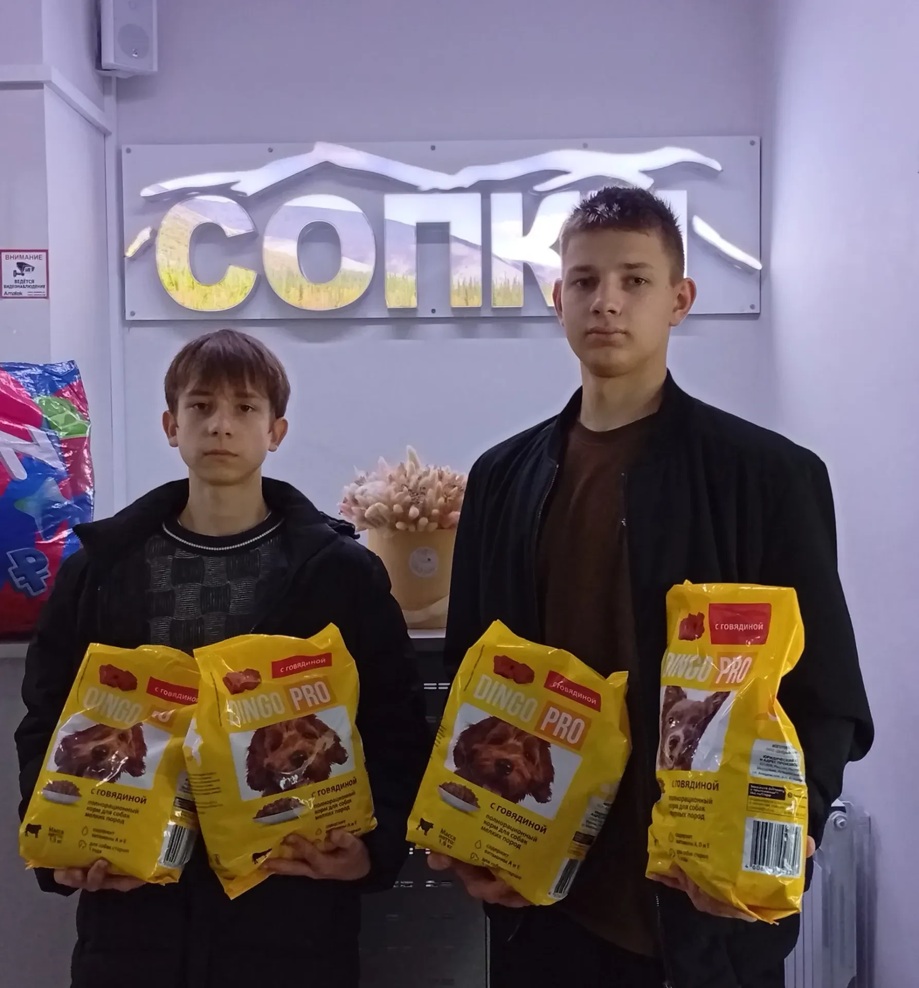 📅4 октября отмечался Всемирный день защиты животных. По этому поводу мы решили рассказ...