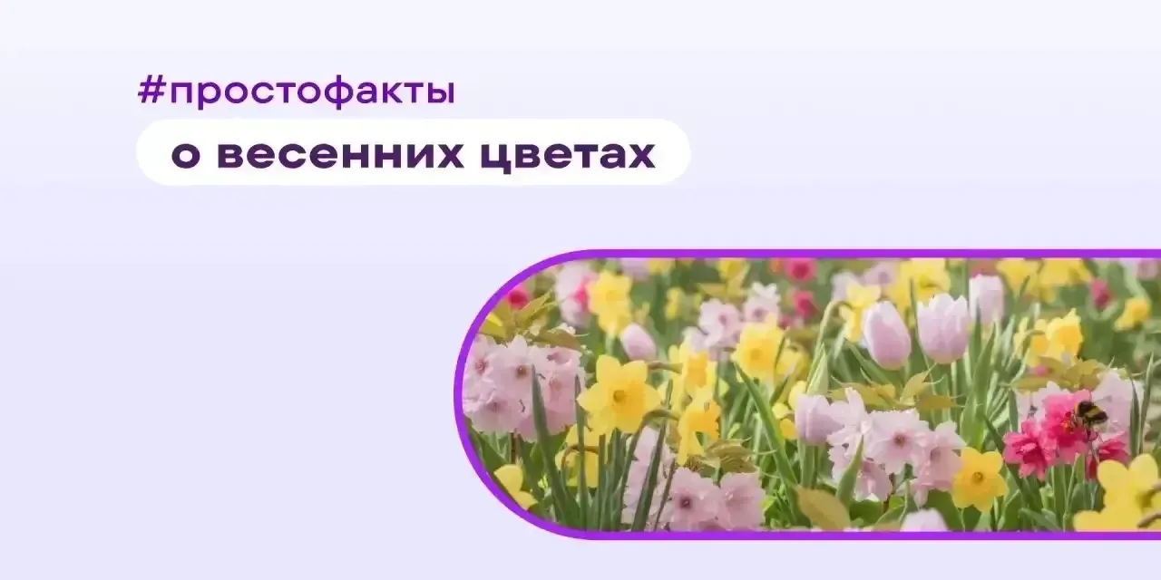 После праздничных выходных наши дома наполнены ароматом весенних 🌷 букетов. В рубрике #ПростоФакты 