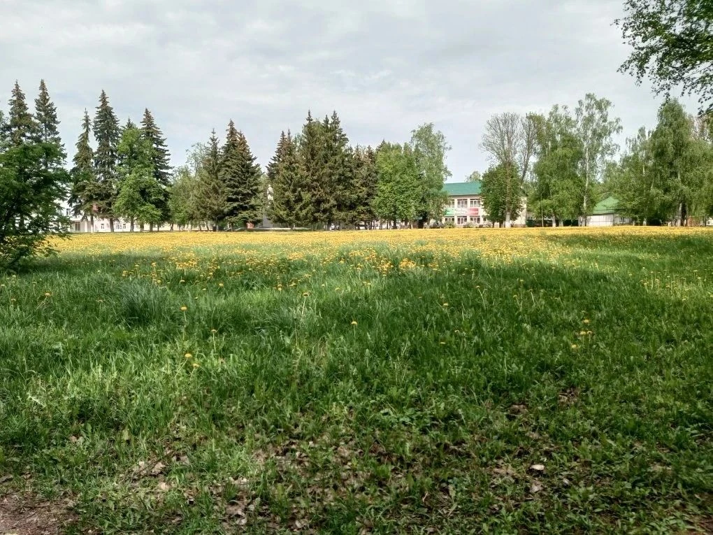 14 июня переменная облачность, местами кратковременный дождь, возможна гроза. Ветер северный 9-14 м/