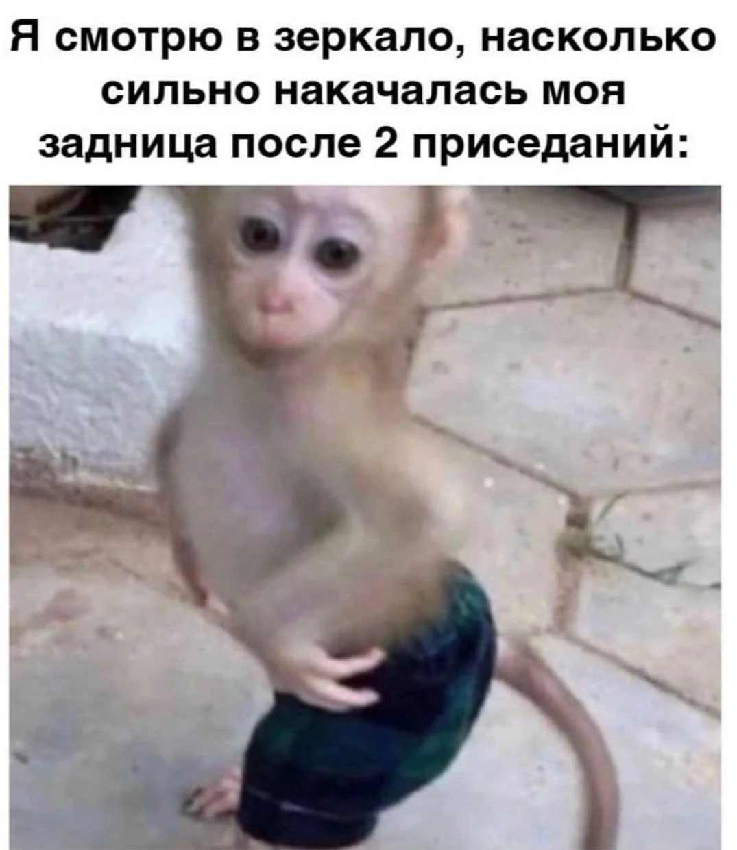 Ветер с Моря Дул