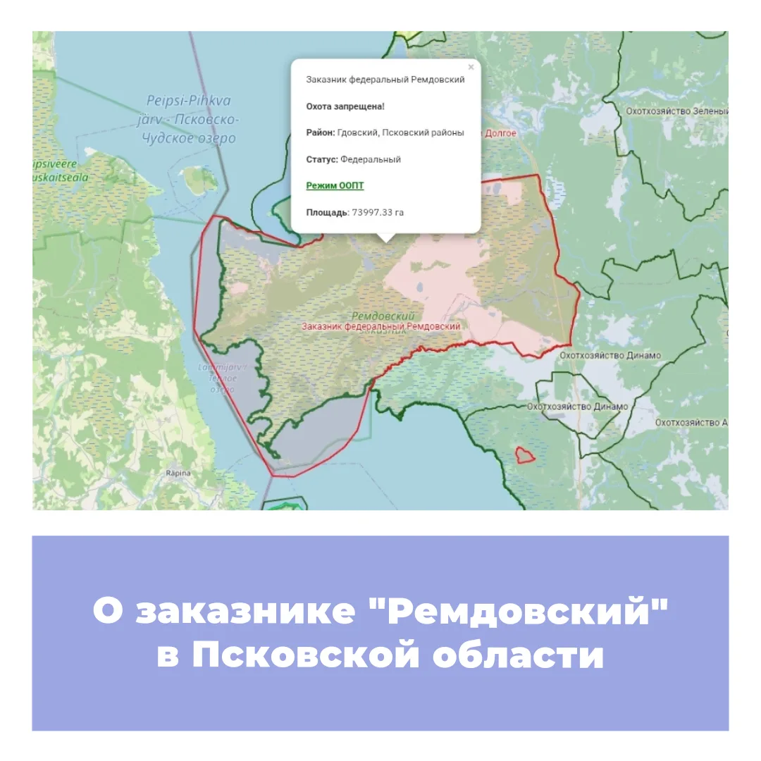 Государственный природный заказник федерального значения "Ремдовский" был создан в 1985...