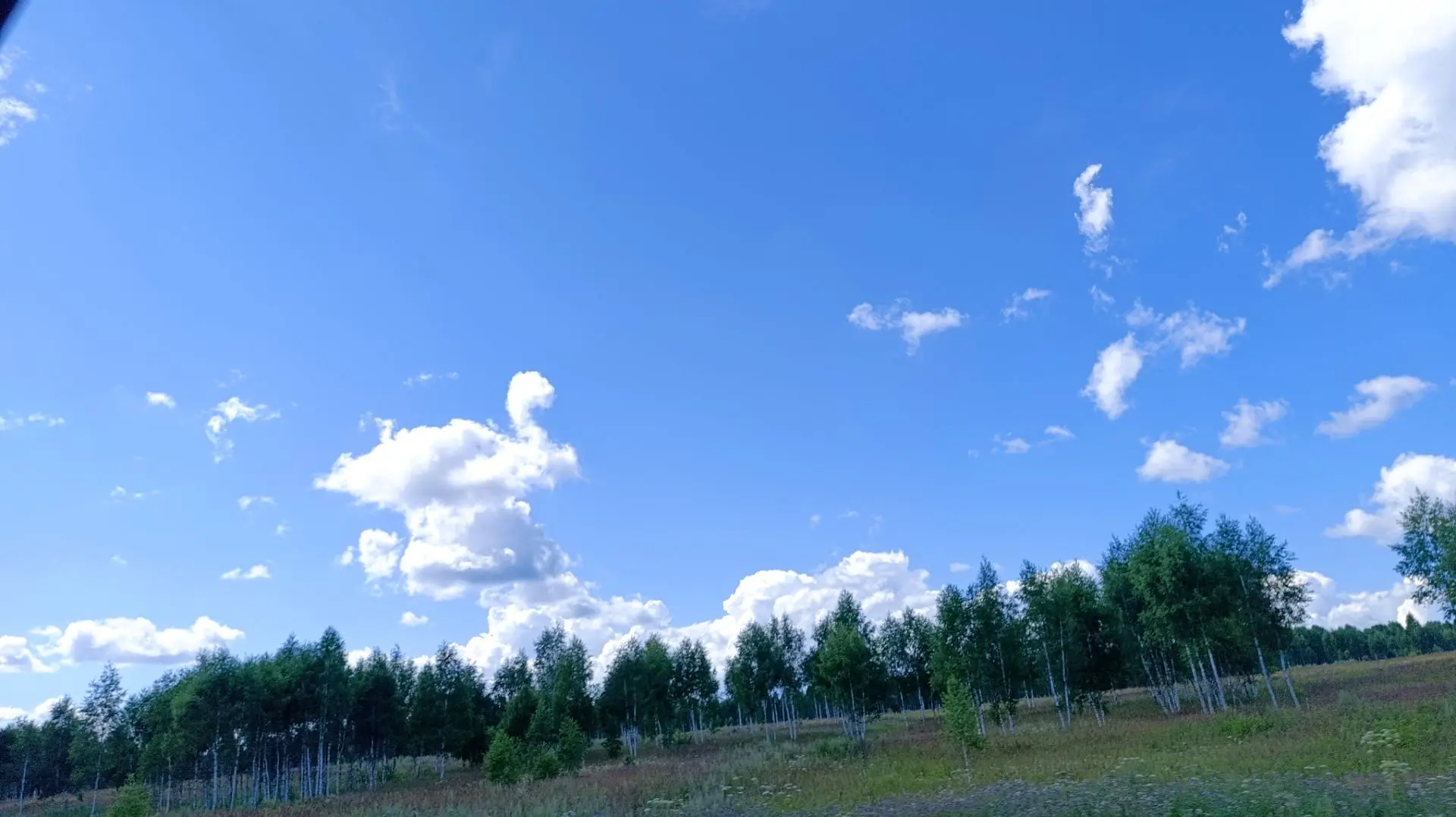 📸 А вы уже нашли лебедя на фото? 😁