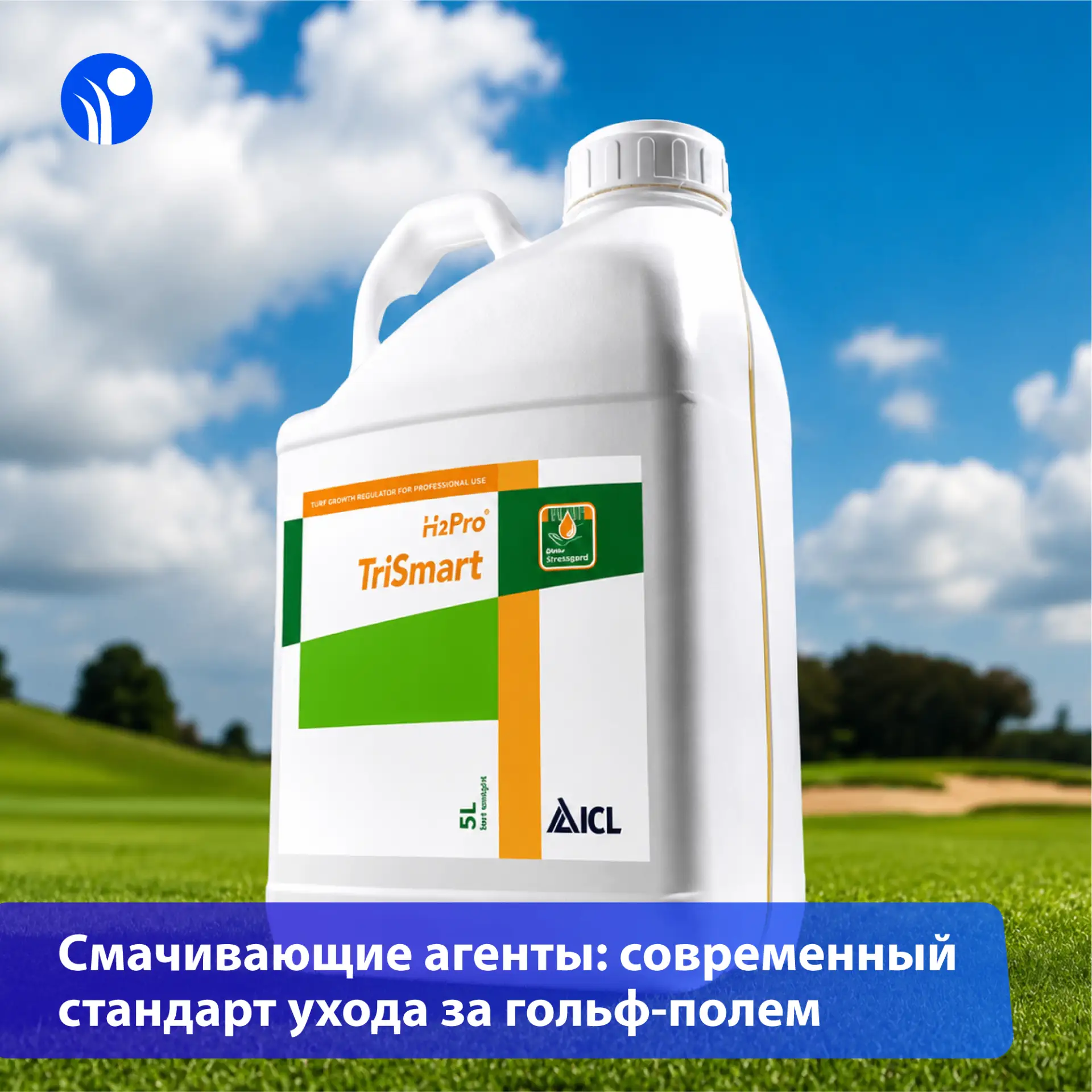 💧Почему даже идеальный полив не всегда спасает газон?