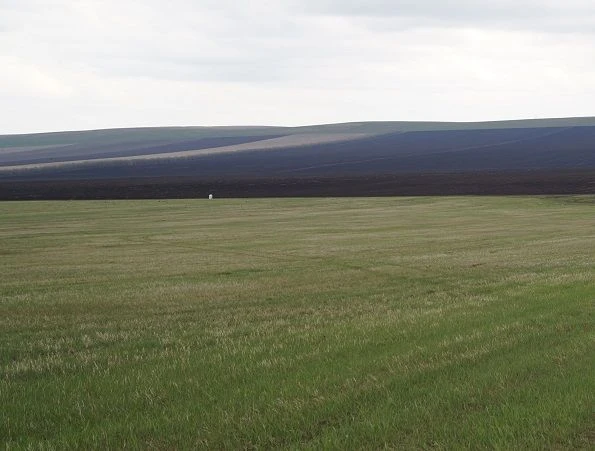 🚜 🌱Посевная кампания в Хакасии завершилась.
 
Зерновыми культурами засеяно 70,9 тыс. га, из них пш