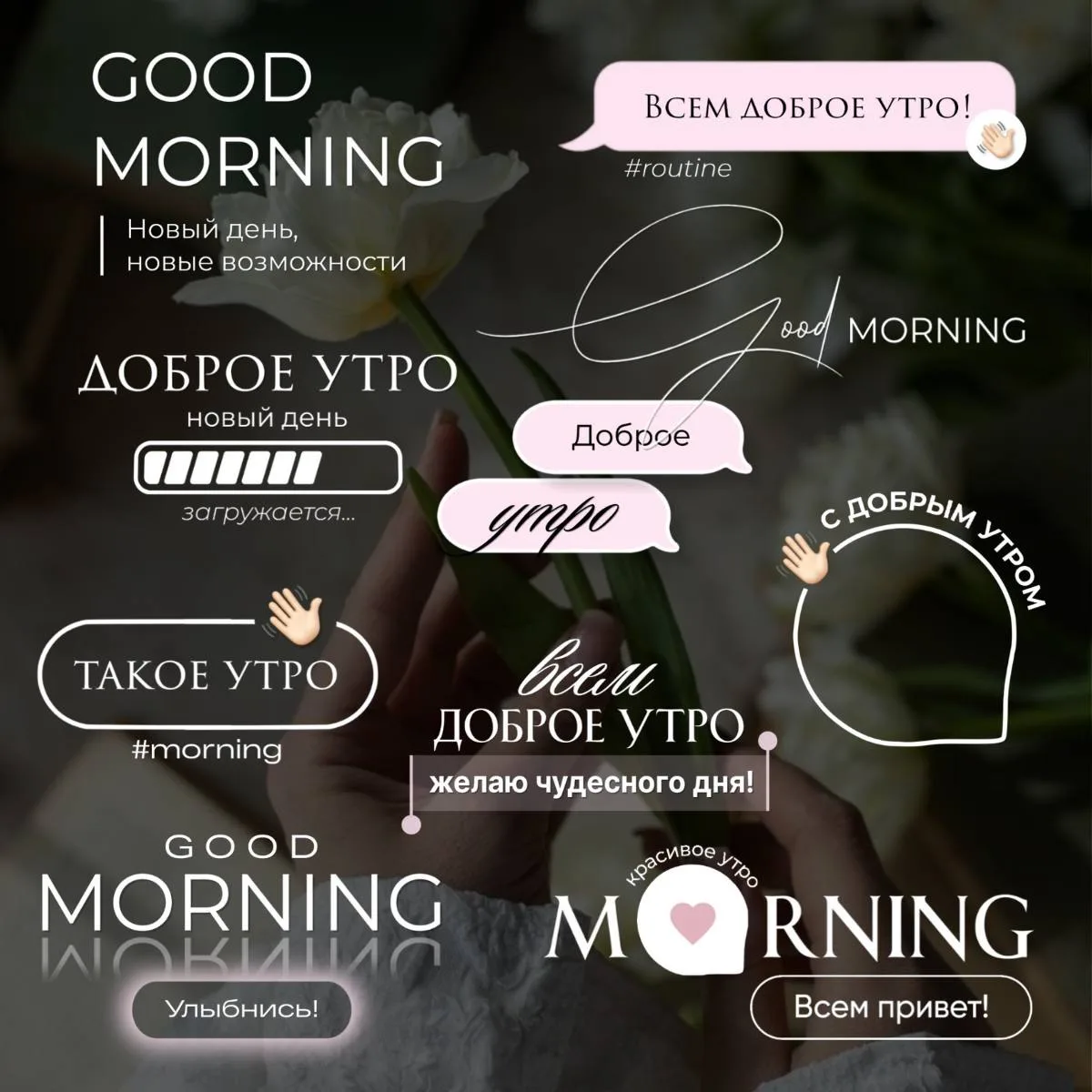 ❀ УТРО ❀
Доброе утро на канале🤗
#утро #доброеутро

👆🏻Стикеры загрузила выше
Ставьте 🔥сохраняете 