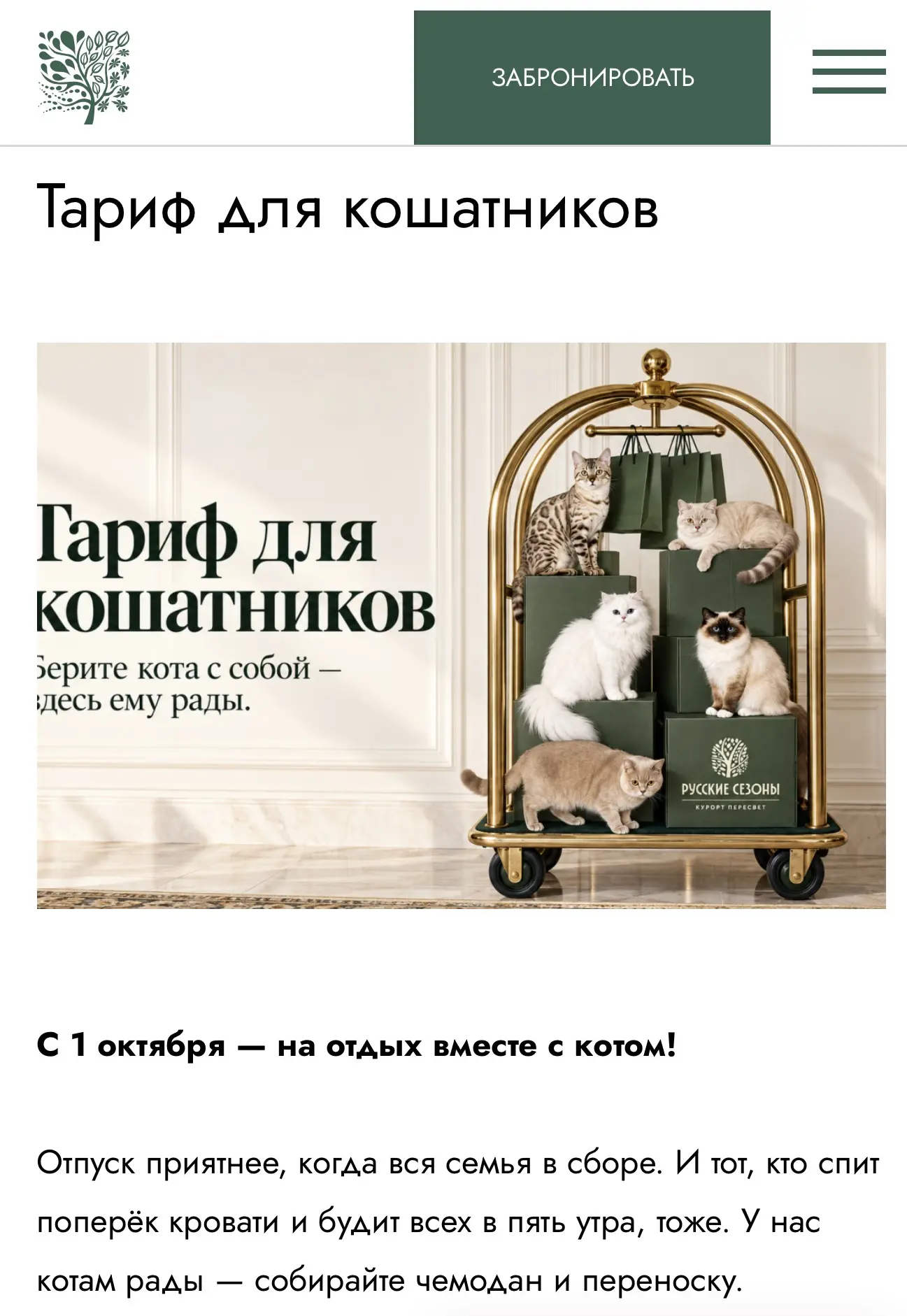 Гостиничный бизнес Москвы в этом году может стать больше на тысячу номеров. Пока некото...